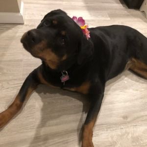 Meet your Posher, Melinda